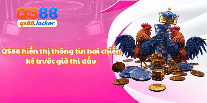 Đá gà cựa sắt QS88 hiển thị thông tin hai chiến kê trước giờ thi đấu